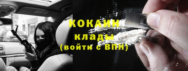 гашик Белокуриха