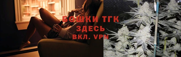 крисы Сатка