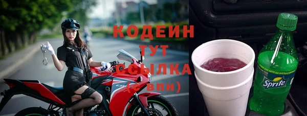 гашик Белокуриха