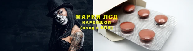 гашик Белокуриха