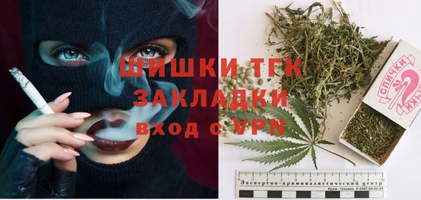 гашик Белокуриха