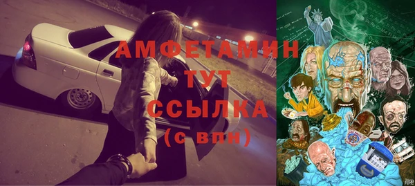 гашик Белокуриха