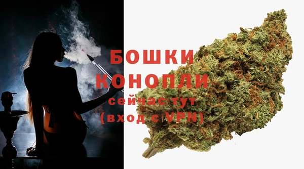 гашик Белокуриха