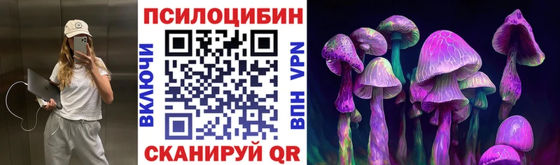 Псилоцибиновые грибы GOLDEN TEACHER купить Куйбышев